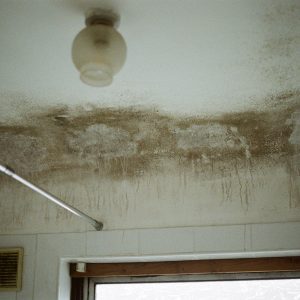 Culture at Home (2024), Gabrielle de la Puente