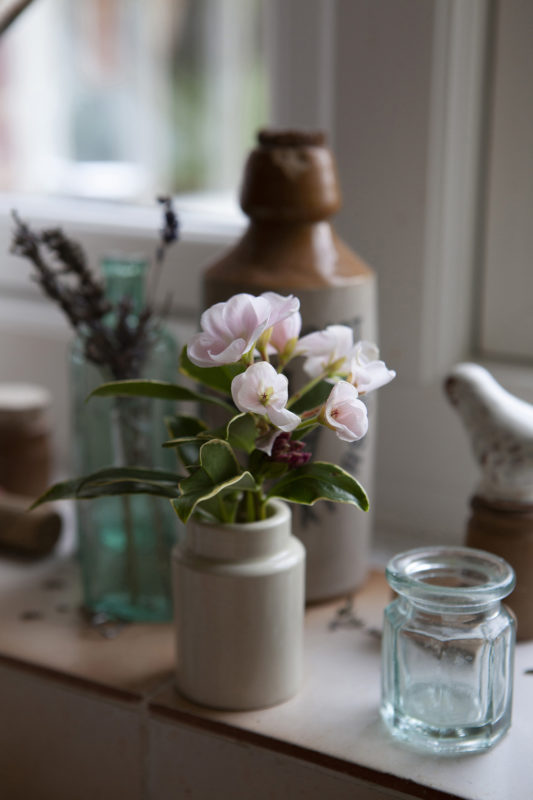 Celine Marchbank Thakeham Sussex 2